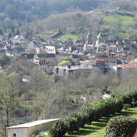 Le Petit Chat Bed & Breakfast Beaulieu-sur-Dordogne Exterior photo